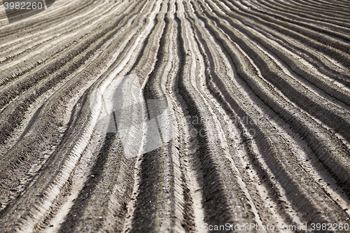 Image of plowed field, furrows  