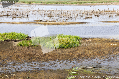 Image of moorland, summer time 