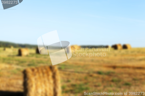 Image of haystacks in a field of straw  