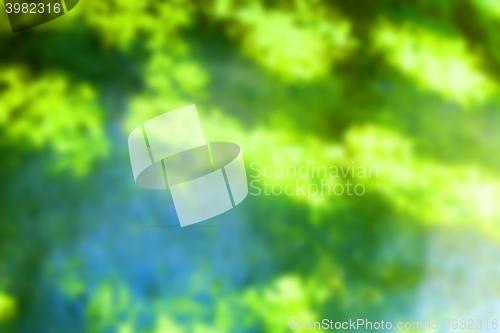 Image of green watermelon, defocus  