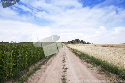 Image of road in a field 