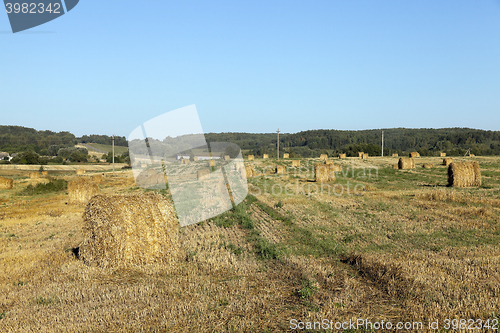 Image of haystacks in a field of straw  