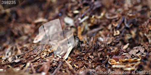 Image of Tobacco