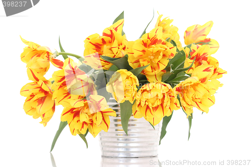 Image of basket of tulips