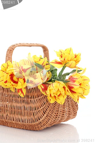 Image of basket of tulips
