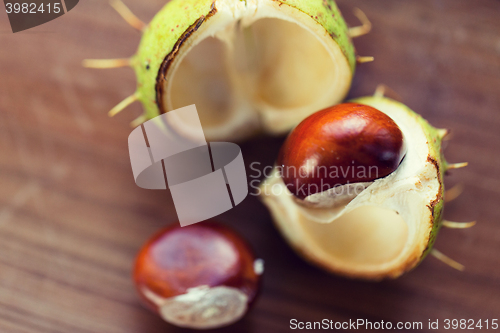 Image of close up of chestnut on wooden table