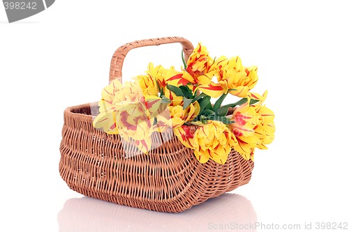 Image of basket of tulips