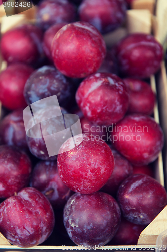 Image of close up of satsuma plums in box at street market