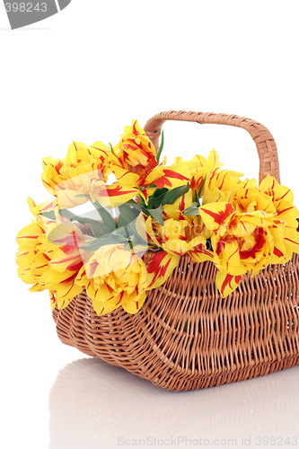 Image of basket of tulips