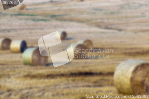 Image of agriculture, not in focus  