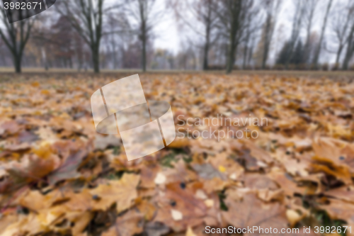 Image of Park in the fall  