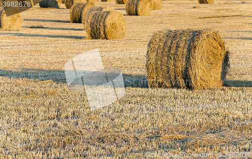 Image of stack of straw in the field  