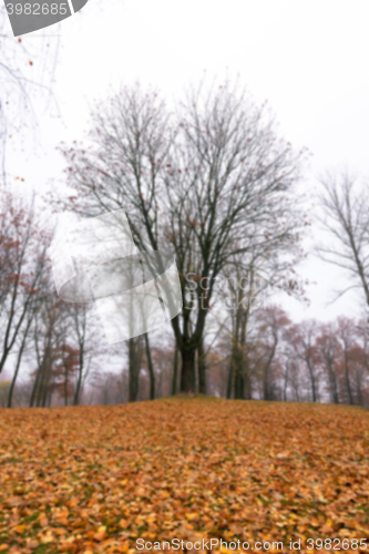 Image of Park in the fall  