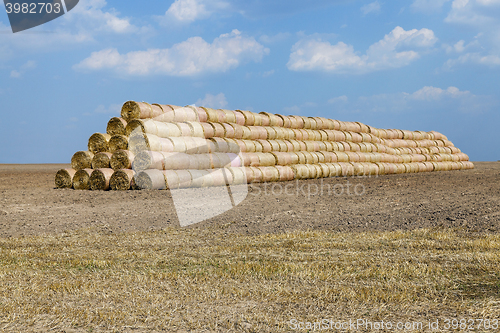 Image of cereal harvest field 