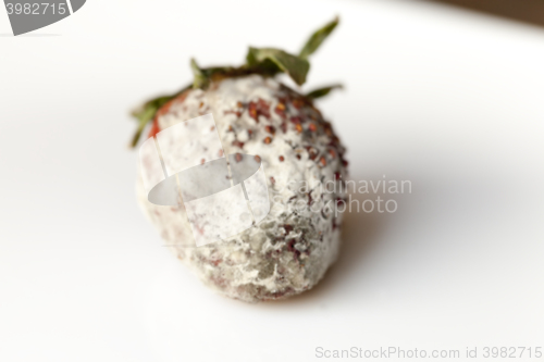 Image of Strawberry with mold