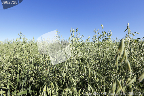 Image of Photo agriculture, Europe