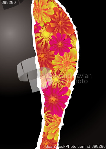 Image of floral rip
