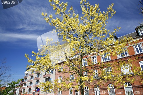 Image of Springtime in town