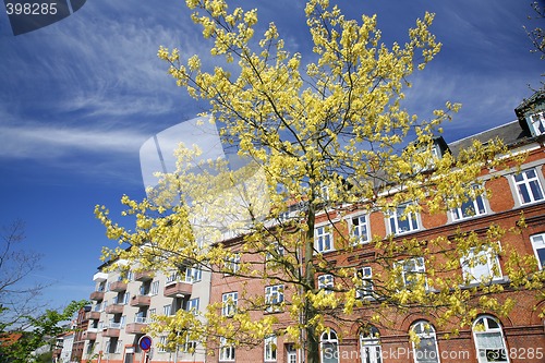 Image of Springtime in town