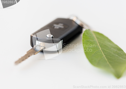 Image of close up of car key and green leaf