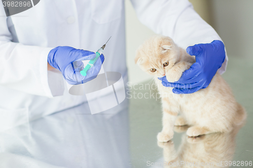 Image of close up of vet making vaccine to kitten at clinic