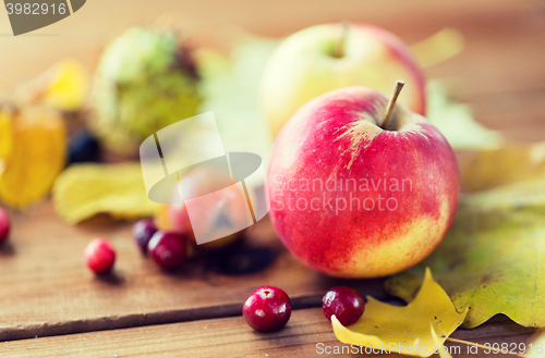 Image of close up of autumn leaves, fruits and berries