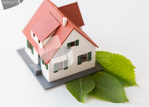 Image of close up of house model and green leaves