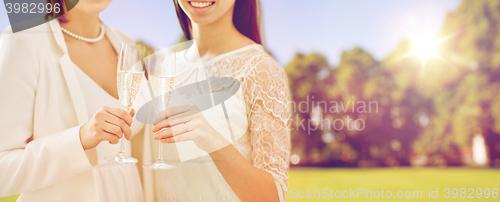 Image of close up of lesbian couple with champagne glasses