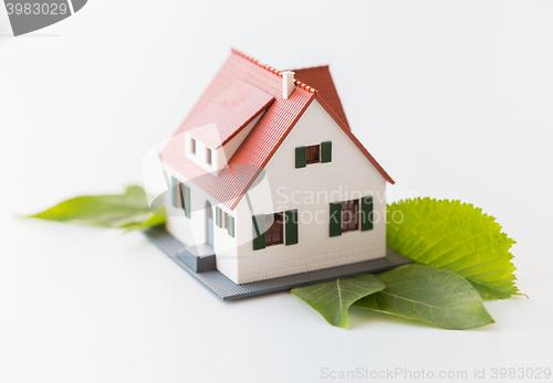 Image of close up of house model and green leaves