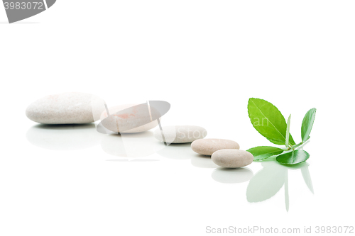 Image of zen stones and green leaf