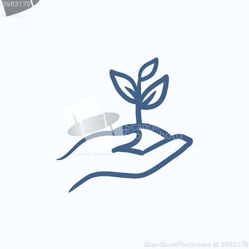 Image of Hands holding seedling in soil sketch icon.