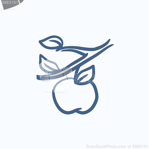 Image of Apple harvest sketch icon.