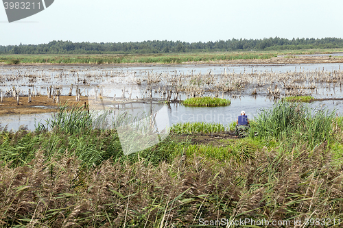 Image of moorland, summer time