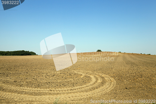 Image of plowed land, summer