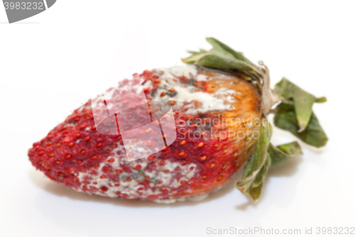 Image of Strawberry with mold