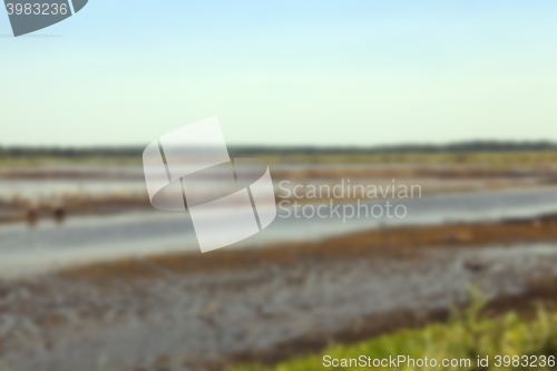 Image of moorland, summer time
