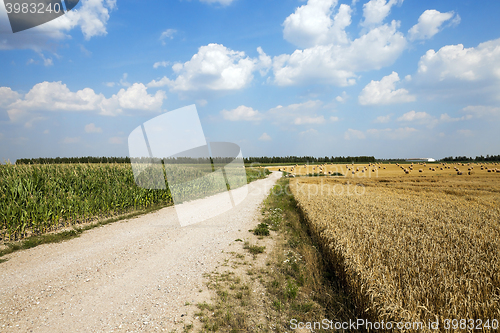 Image of road in a field