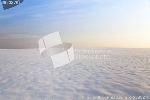 Image of snow covered field