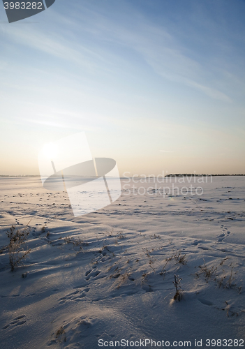 Image of snow covered field