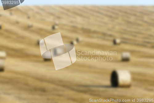 Image of agriculture, not in focus