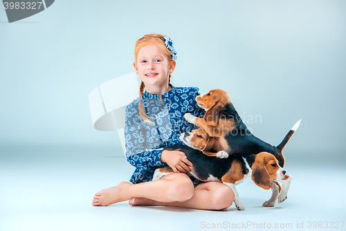 Image of The happy girl and two beagle puppie on gray background