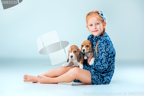 Image of The happy girl and two beagle puppie on gray background