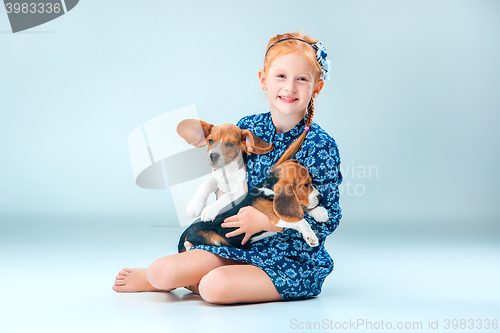 Image of The happy girl and two beagle puppie on gray background