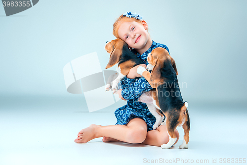 Image of The happy girl and two beagle puppie on gray background