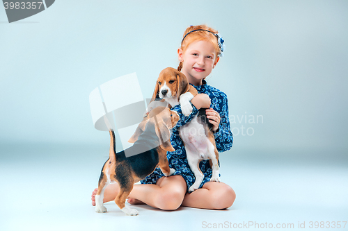 Image of The happy girl and two beagle puppie on gray background