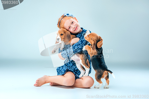 Image of The happy girl and two beagle puppie on gray background