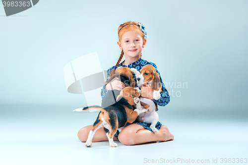 Image of The happy girl and two beagle puppie on gray background