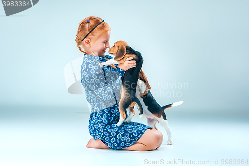 Image of The happy girl and a beagle puppie on gray background