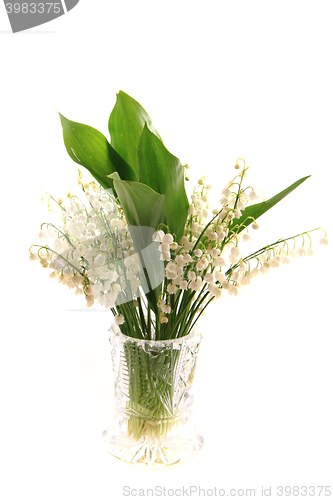 Image of lily of valley