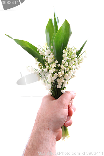 Image of lily of valley